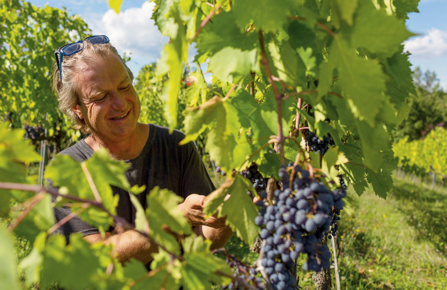 Bibi Gratez – den geniale vinkunstneren i Toscana