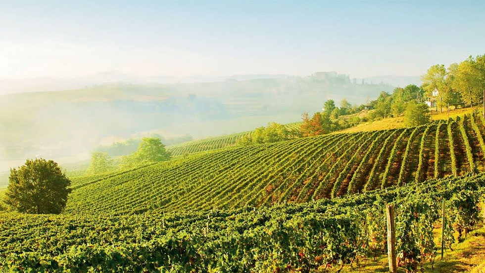 Brunello – perfekt høstvin